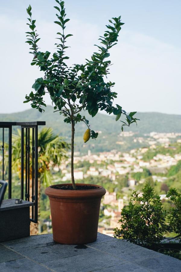 Villa Almana Cernobbio Extérieur photo